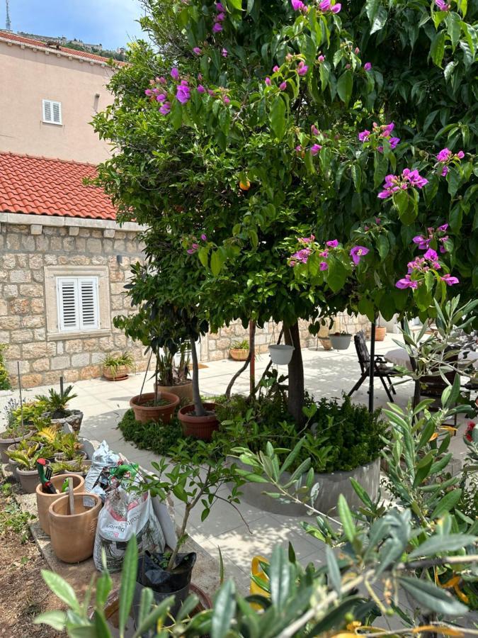 Apartments Lomara Dubrovnik Exterior photo